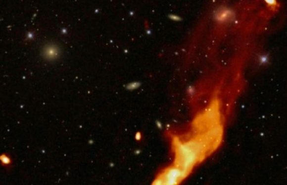 Plus de 300’000 nouvelles galaxies mises en évidence par le radiotélescope LOFAR