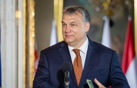 Les femmes avec quatre enfants ou plus ne paieront plus d’impôt sur le revenu de leur vie