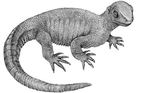 Le cancer faisait déjà des ravages à l’époque des dinosaures