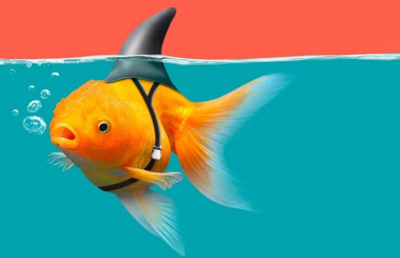 Deep fake, GAN… Fascinant (ou effrayant) découvrez la tech qui fait passer du faux pour du vrai