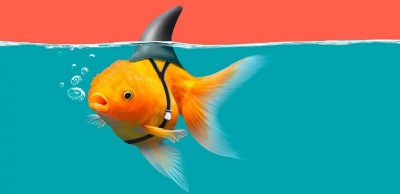 Deep fake, GAN… Fascinant (ou effrayant) découvrez la tech qui fait passer du faux pour du vrai