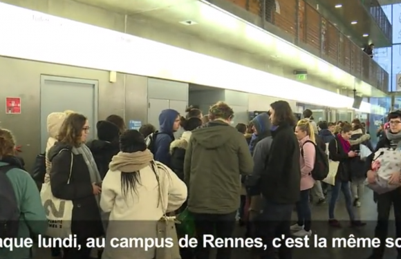 Rennes (35) : une « épicerie gratuite » vient en aide aux étudiants boursiers précaires
