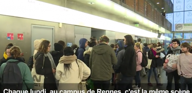 Rennes (35) : une « épicerie gratuite » vient en aide aux étudiants boursiers précaires