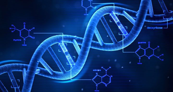Une société d’analyse d’ADN pour particuliers… qui partage ses données avec le FBI