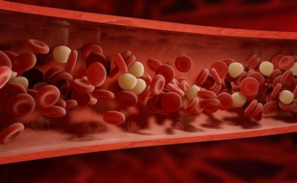 Le risque de formation de caillots de sang lors de voyages de longue durée