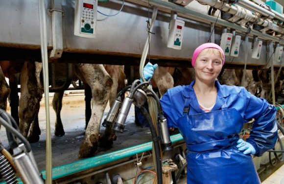Isolées et victimes de stéréotypes, les agricultrices réclament leur place dans la PAC