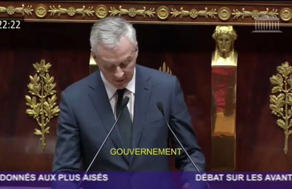 La France, ce pays désemparé dirigé par des clowns par Nathalie MP