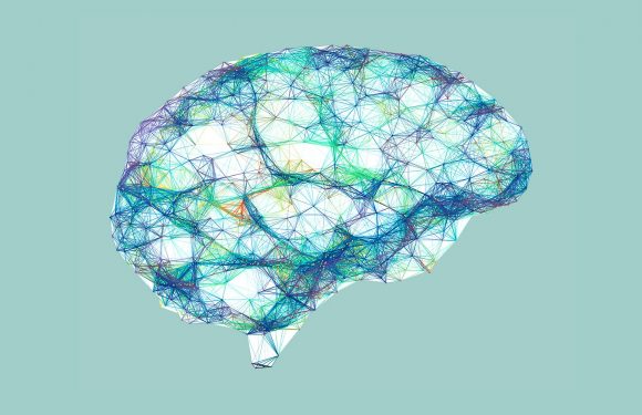 L&rsquo;épilepsie au quotidien : « On est stigmatisé, on a honte »