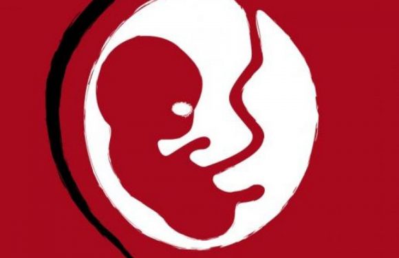 L’argent du sang intra-utérin : l’avortement est une affaire de très gros sous