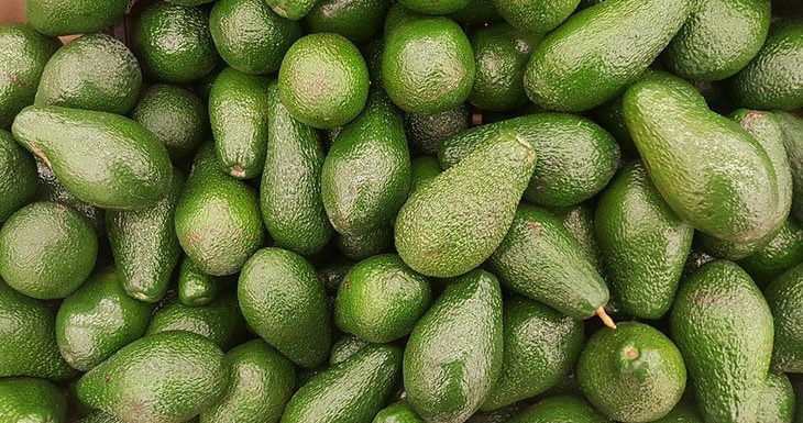 Rien ne se perd, tout se recycle : ces pailles biodégradables sont faites en noyaux d’avocats
