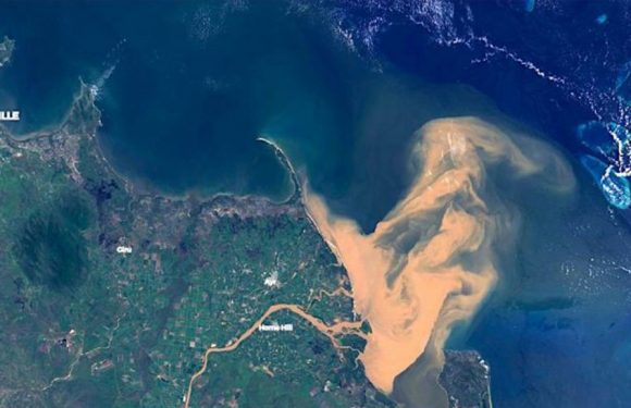 Catastrophe écologique : la Grande barrière de corail souillée par une masse d’eau polluée