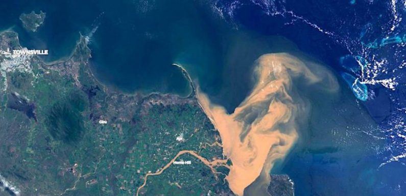 Catastrophe écologique : la Grande barrière de corail souillée par une masse d’eau polluée