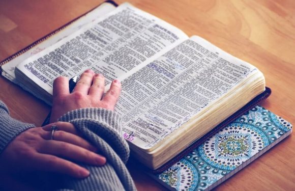 22 mots rares pour enrichir son vocabulaire