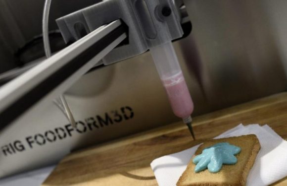 Des aliments imprimés en 3D dans les maisons de retraite suédoises