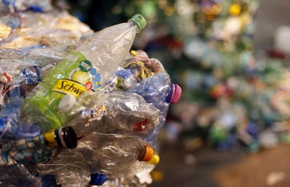 L&rsquo;UE entérine l&rsquo;interdiction du plastique à usage unique dès 2021