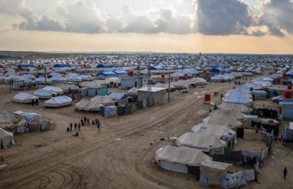 Sondage : près de 7 Français sur 10 ne veulent pas que les enfants de djihadistes français reviennent en France