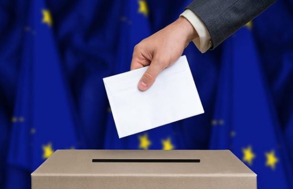Européennes : 50 personnalités écologistes appellent à un « large rassemblement des progressistes » autour de LREM