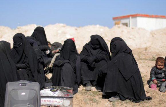 Etat islamique : une pétition pour rapatrier les enfants français de djihadistes