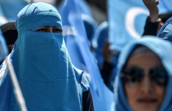 La Suède accordera l’asile à tous les musulmans ouïghours qui en feront la demande