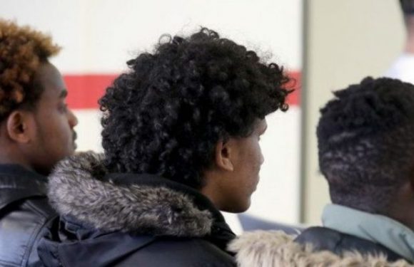 Allemagne : selon une étude cognitive réalisée sur 500 demandeurs d’asile, leur niveau serait trop faible pour combler les besoins en emplois qualifiés