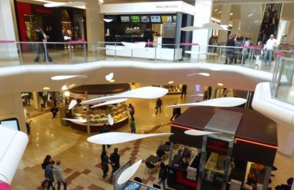 Lyon : un migrant, prétendu « mineur isolé » âgé de 27 ans, condamné à 10 mois de prison pour avoir « semé la pagaille » dans un centre commercial