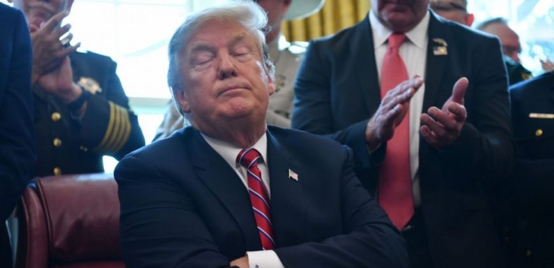 Donald Trump dégaine le premier veto de son mandat pour financer son mur