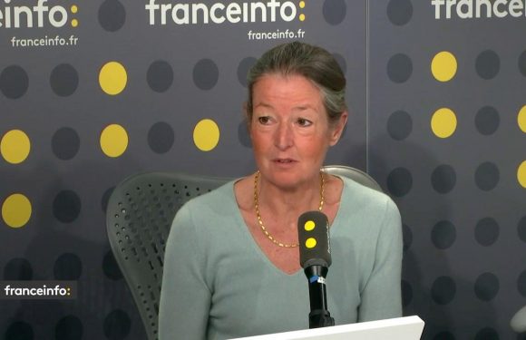 Pour éradiquer la rougeole en France, « il faut 95% de la population vaccinée et on est à 80% », souligne une infectiologue