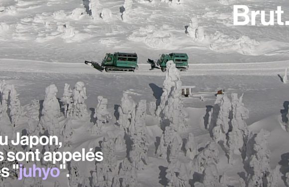 VIDEO. Au Japon, les « monstres de glace » sont menacés par le réchauffement climatique