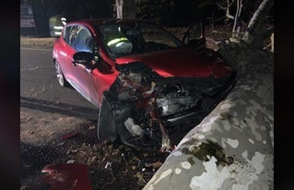 Quatre « gilets jaunes » mis en examen pour avoir tronçonné des platanes et provoqué des accidents sur des routes du Gard et du Vaucluse