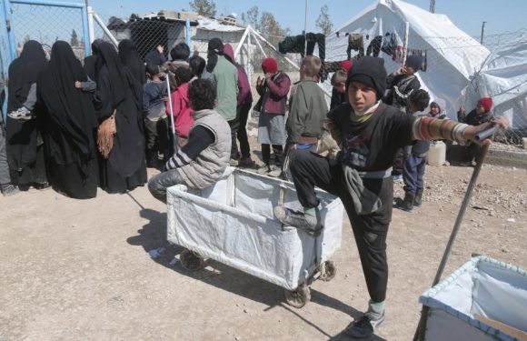 En Syrie, des conditions de vie alarmantes dans le camp surpeuplé d&rsquo;al-Hol