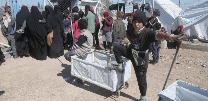 En Syrie, des conditions de vie alarmantes dans le camp surpeuplé d’al-Hol