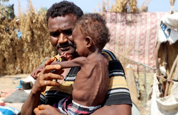 Yémen: aucune paix en vue après quatre années de guerre