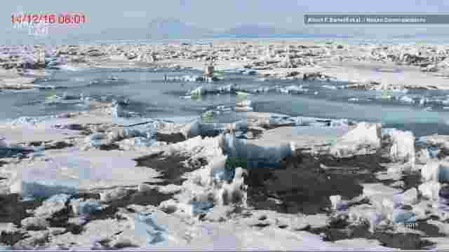 The seas are saving us from runaway global warming, but for how long?