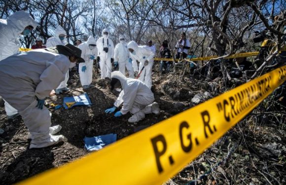 Au Mexique, quand des familles disparaissent en cherchant leurs disparus