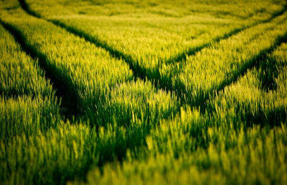 Dans quelle société veut-on vivre ? Les deux voies possibles