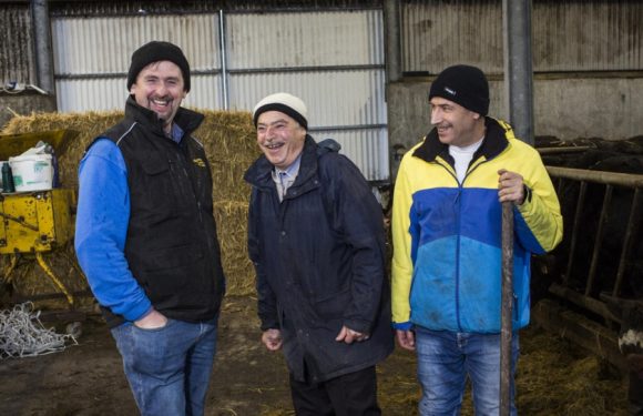 En Irlande, les agriculteurs syriens récoltent les fruits de leur collaboration