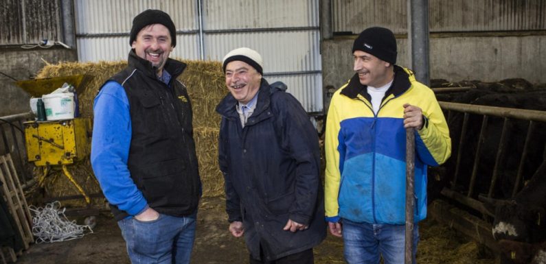 En Irlande, les agriculteurs syriens récoltent les fruits de leur collaboration