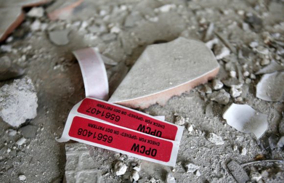 «Attaque chimique» à Douma : Moscou et Damas dénoncent le rapport «politisé» de l’OIAC