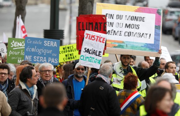 Avec ou sans gilet jaune, des milliers de personnes marchent pour le climat en France (IMAGES)
