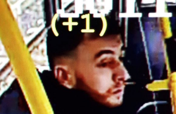 Nombre de victimes, profil du suspect : que sait-on des fusillades à Utrecht aux Pays-Bas ?
