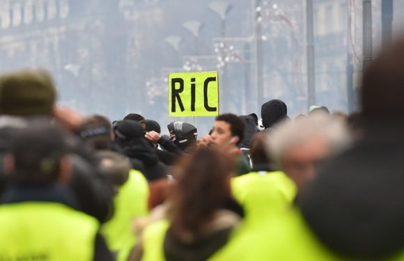 Gilets jaunes : deux individus auraient été verbalisés pour leur pull au slogan «Oui au RIC»