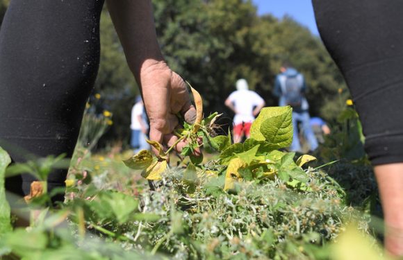 NDDL : la Loire-Atlantique valide la rétrocession de 895 hectares après la fin du projet d’aéroport