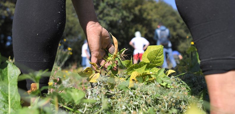 NDDL : la Loire-Atlantique valide la rétrocession de 895 hectares après la fin du projet d’aéroport