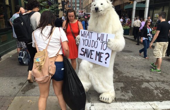 En France, plus d&rsquo;un tiers des 18-24 ans sont climatosceptiques