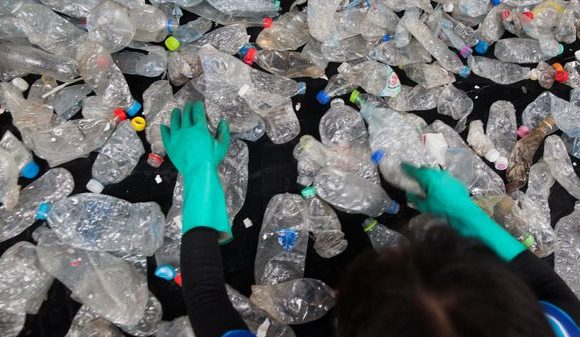 Assiettes comestibles, maisons en bouteilles : tour du monde des initiatives contre le plastique
