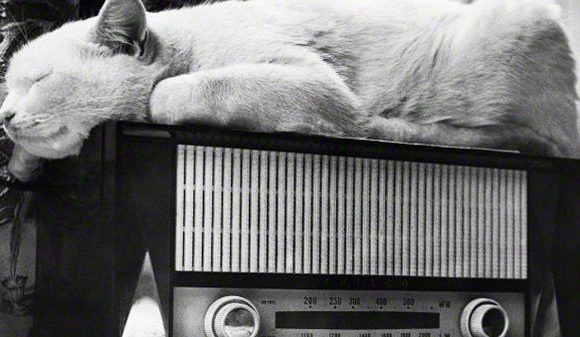 Journée de la procrastination : procrastinez, mais en musique !