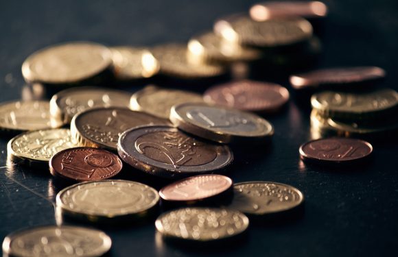 Baisse des dépenses publiques : pourquoi ? comment ?