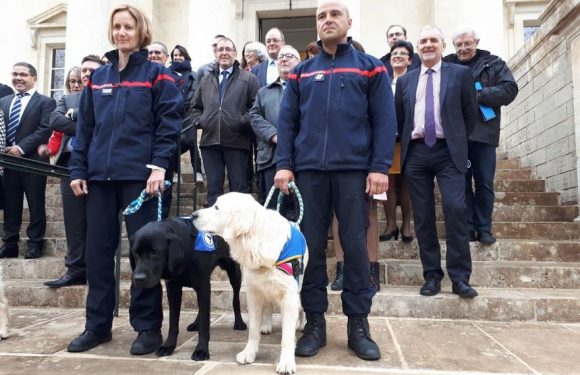 LOL, le premier chien d’assistance judiciaire en France aide à libérer la parole des victimes