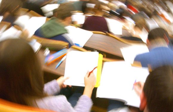 VIDEO. Toulouse: Comment les étudiants autistes sortent enfin de leur «bulle»