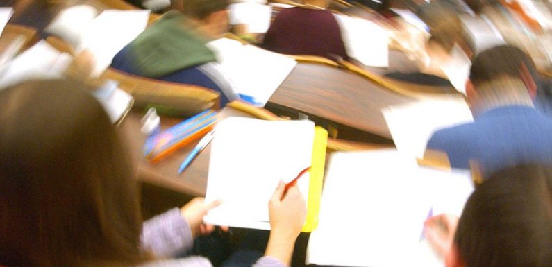 VIDEO. Toulouse: Comment les étudiants autistes sortent enfin de leur «bulle»